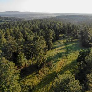 Photo #9 of GARLAND DR, CHARLOTTESVILLE, VA 583.0 acres