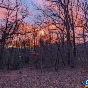 Photo #2 of 2005 UPPER STONY RUN, GREENWOOD, VA 9.4 acres