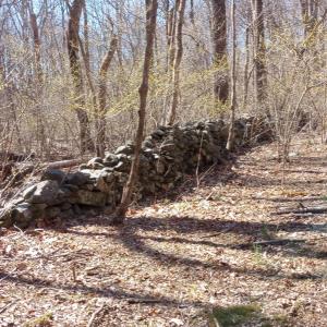 Photo #61 of 2005 UPPER STONY RUN, GREENWOOD, VA 9.4 acres