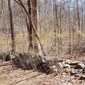 Photo #57 of 2005 UPPER STONY RUN, GREENWOOD, VA 9.4 acres