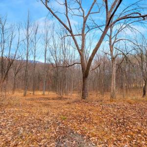 Photo #30 of 2005 UPPER STONY RUN, GREENWOOD, VA 9.4 acres