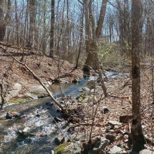 Photo #5 of 2005 UPPER STONY RUN, GREENWOOD, VA 9.4 acres