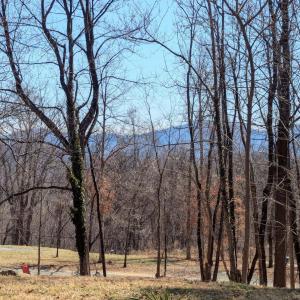 Photo #2 of 2005 UPPER STONY RUN, GREENWOOD, VA 9.4 acres