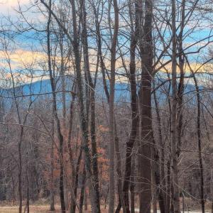 Photo #9 of 2005 UPPER STONY RUN, GREENWOOD, VA 9.4 acres