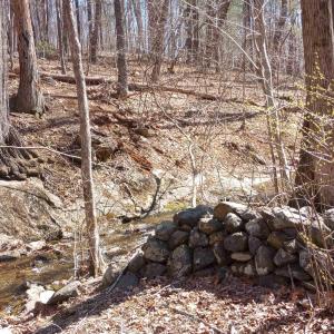 Photo #61 of 2005 UPPER STONY RUN, GREENWOOD, VA 9.4 acres