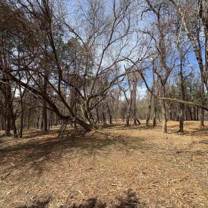 Photo #5 of DULWICH DR, AMHERST, VA 50.0 acres