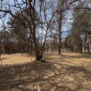 Photo #4 of DULWICH DR, AMHERST, VA 50.0 acres