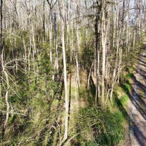 Photo #7 of 4320 IRONWOOD TRL, COLUMBIA, VA 8.1 acres