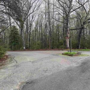 Photo #13 of 4320 IRONWOOD TRL, COLUMBIA, VA 8.1 acres