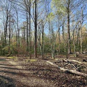 Photo #9 of 4320 IRONWOOD TRL, COLUMBIA, VA 8.1 acres