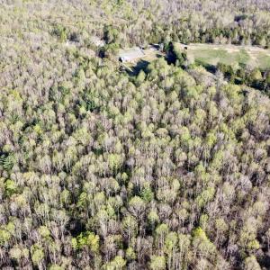 Photo #3 of 4320 IRONWOOD TRL, COLUMBIA, VA 8.1 acres