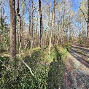 Photo #8 of 4320 IRONWOOD TRL, COLUMBIA, VA 8.1 acres