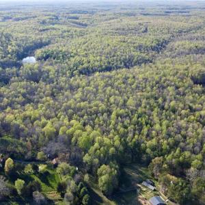 Photo #5 of 4320 IRONWOOD TRL, COLUMBIA, VA 8.1 acres