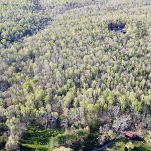 Photo #11 of 4320 IRONWOOD TRL, COLUMBIA, VA 8.1 acres
