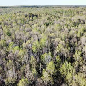 Photo #6 of 4320 IRONWOOD TRL, COLUMBIA, VA 8.1 acres