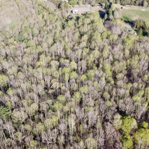 Photo #4 of 4320 IRONWOOD TRL, COLUMBIA, VA 8.1 acres
