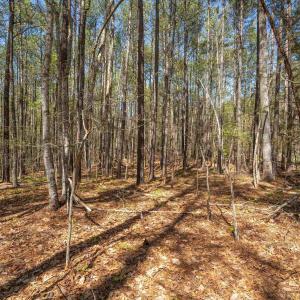 Photo #18 of Lot 27 MARTIN KINGS RD, CHARLOTTESVILLE, VA 4.9 acres
