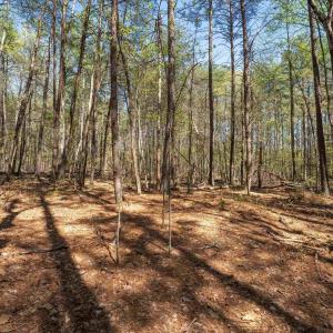 Photo #22 of Lot 27 MARTIN KINGS RD, CHARLOTTESVILLE, VA 4.9 acres