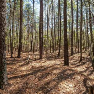 Photo #20 of Lot 27 MARTIN KINGS RD, CHARLOTTESVILLE, VA 4.9 acres