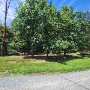 Photo #43 of Lot 27 MARTIN KINGS RD, CHARLOTTESVILLE, VA 4.9 acres