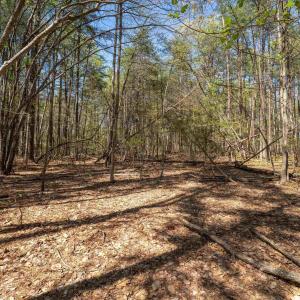 Photo #32 of Lot 27 MARTIN KINGS RD, CHARLOTTESVILLE, VA 4.9 acres