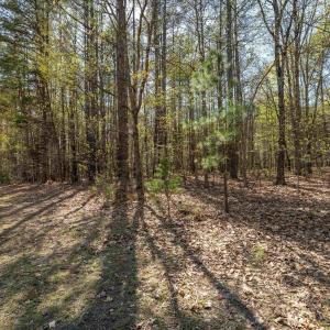 Photo #38 of Lot 27 MARTIN KINGS RD, CHARLOTTESVILLE, VA 4.9 acres
