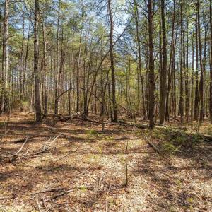 Photo #25 of Lot 27 MARTIN KINGS RD, CHARLOTTESVILLE, VA 4.9 acres