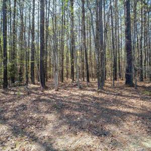 Photo #37 of Lot 27 MARTIN KINGS RD, CHARLOTTESVILLE, VA 4.9 acres