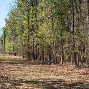 Photo #14 of Lot 27 MARTIN KINGS RD, CHARLOTTESVILLE, VA 4.9 acres