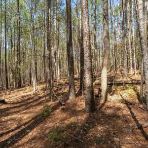 Photo #24 of Lot 27 MARTIN KINGS RD, CHARLOTTESVILLE, VA 4.9 acres