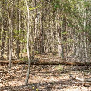 Photo #35 of Lot 27 MARTIN KINGS RD, CHARLOTTESVILLE, VA 4.9 acres