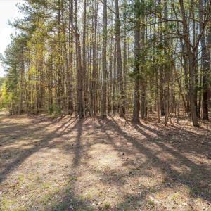 Photo #7 of Lot 27 MARTIN KINGS RD, CHARLOTTESVILLE, VA 4.9 acres