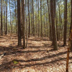 Photo #26 of Lot 27 MARTIN KINGS RD, CHARLOTTESVILLE, VA 4.9 acres