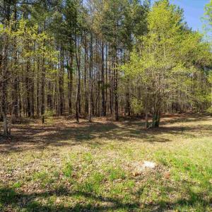 Photo #8 of Lot 27 MARTIN KINGS RD, CHARLOTTESVILLE, VA 4.9 acres