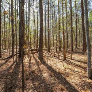 Photo #34 of Lot 27 MARTIN KINGS RD, CHARLOTTESVILLE, VA 4.9 acres