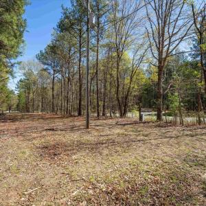 Photo #17 of Lot 27 MARTIN KINGS RD, CHARLOTTESVILLE, VA 4.9 acres
