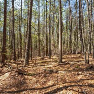 Photo #21 of Lot 27 MARTIN KINGS RD, CHARLOTTESVILLE, VA 4.9 acres