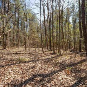 Photo #27 of Lot 27 MARTIN KINGS RD, CHARLOTTESVILLE, VA 4.9 acres