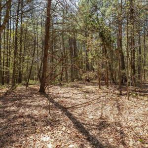 Photo #29 of Lot 27 MARTIN KINGS RD, CHARLOTTESVILLE, VA 4.9 acres