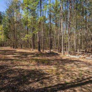 Photo #13 of Lot 27 MARTIN KINGS RD, CHARLOTTESVILLE, VA 4.9 acres