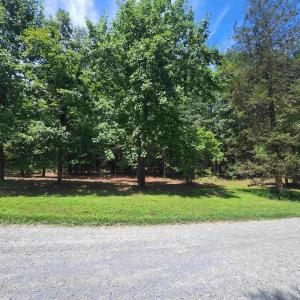 Photo #39 of Lot 27 MARTIN KINGS RD, CHARLOTTESVILLE, VA 4.9 acres