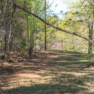 Photo #9 of Lot 27 MARTIN KINGS RD, CHARLOTTESVILLE, VA 4.9 acres