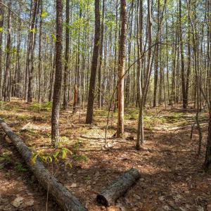 Photo #23 of Lot 27 MARTIN KINGS RD, CHARLOTTESVILLE, VA 4.9 acres
