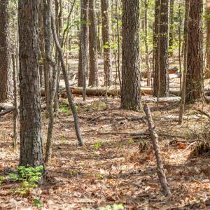 Photo #36 of Lot 27 MARTIN KINGS RD, CHARLOTTESVILLE, VA 4.9 acres