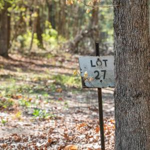 Photo #6 of Lot 27 MARTIN KINGS RD, CHARLOTTESVILLE, VA 4.9 acres