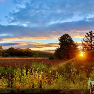 Photo #29 of MASSANETTA SPRINGS RD, ROCKINGHAM, VA 2.0 acres
