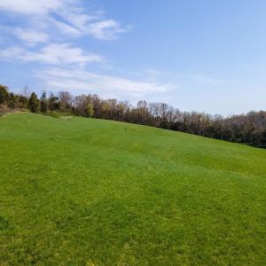 Photo #15 of TBD WENGERS MILL RD, LINVILLE, VA 10.8 acres