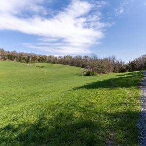 Photo #9 of TBD WENGERS MILL RD, LINVILLE, VA 10.8 acres