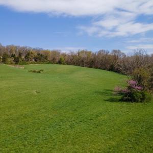 Photo #14 of TBD WENGERS MILL RD, LINVILLE, VA 10.8 acres