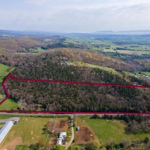 Photo #1 of 0 - TBD WENGERS MILL RD, LINVILLE, VA 20.0 acres